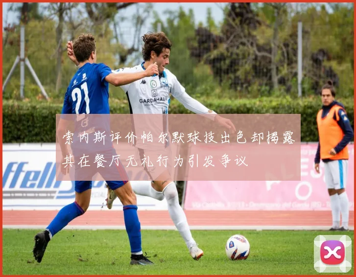 索内斯评价帕尔默球技出色却揭露其在餐厅无礼行为引发争议