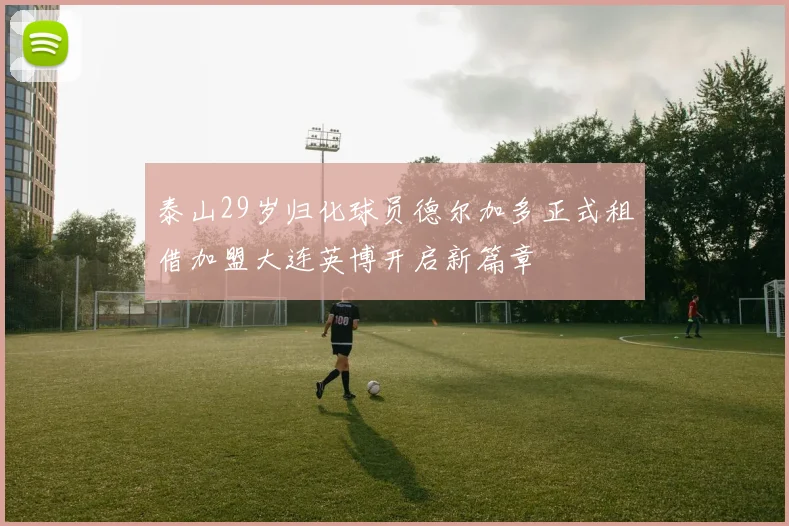 泰山29岁归化球员德尔加多正式租借加盟大连英博开启新篇章